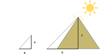 A er høyden til en oppsatt stav. C er høyden til pyramiden. B og D er lengden av skyggen til staven og pyramiden.